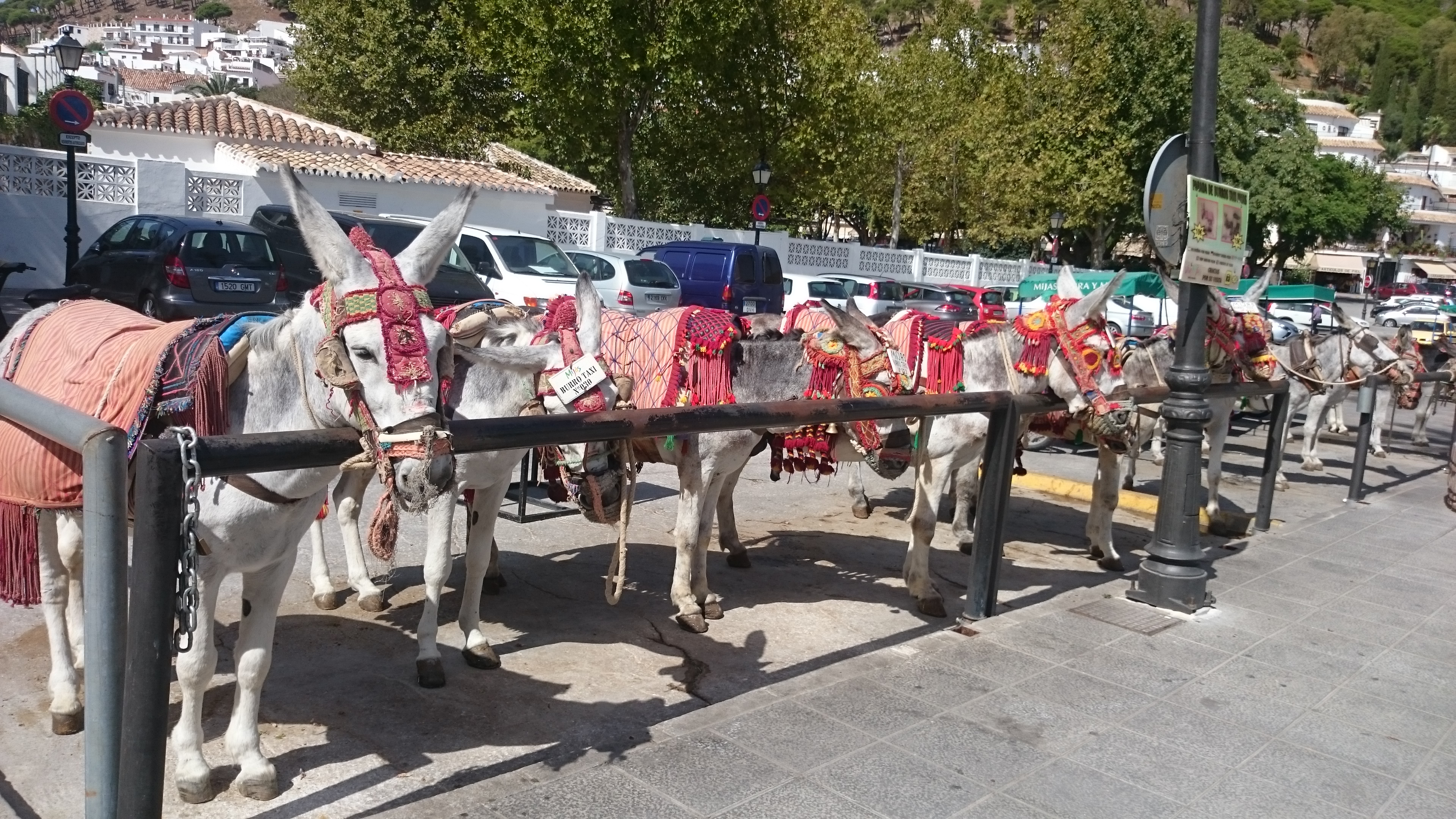 Mijas